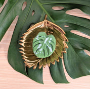 Monstera Leaf Soap - RIDER