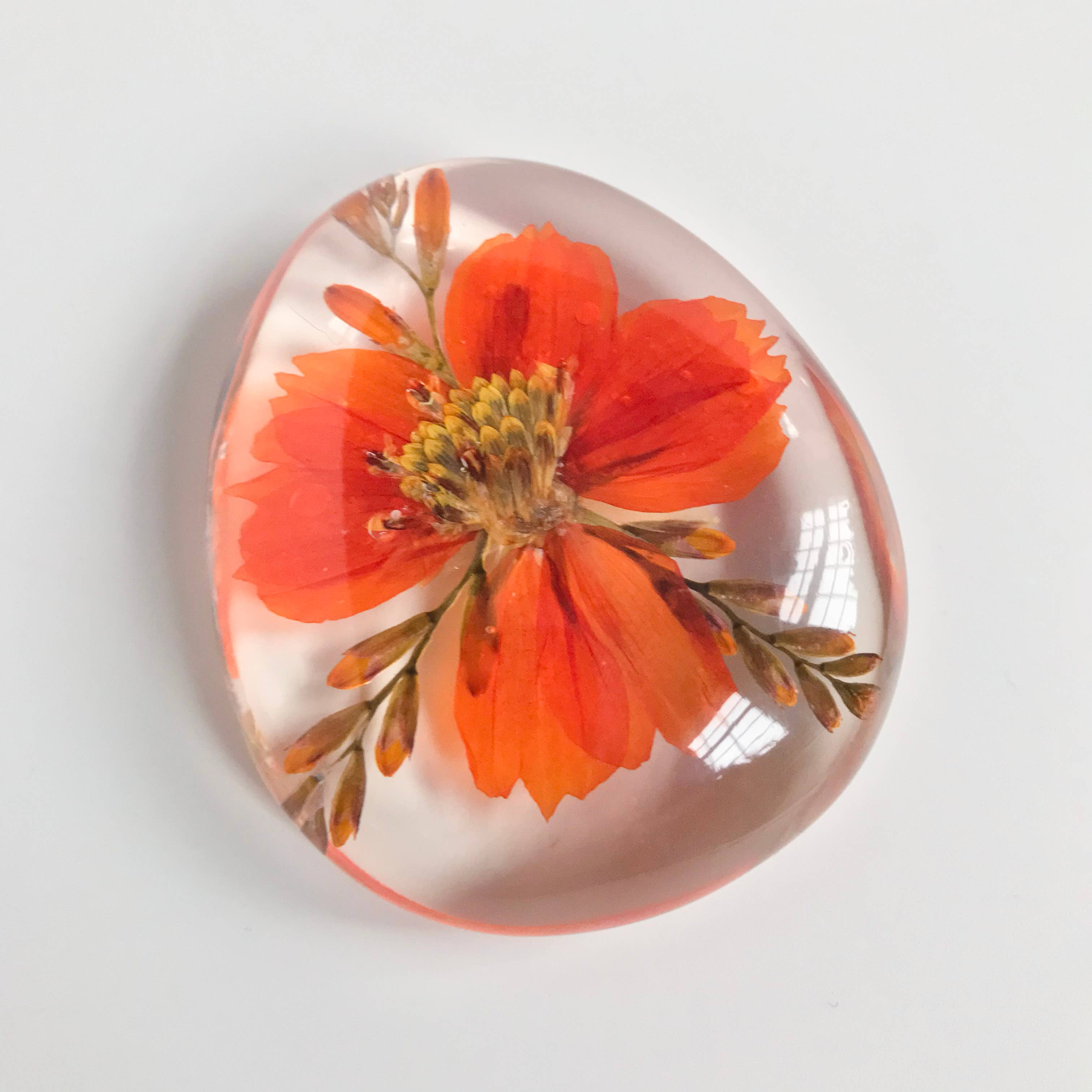 Botanical Flower Paperweight - RIDER