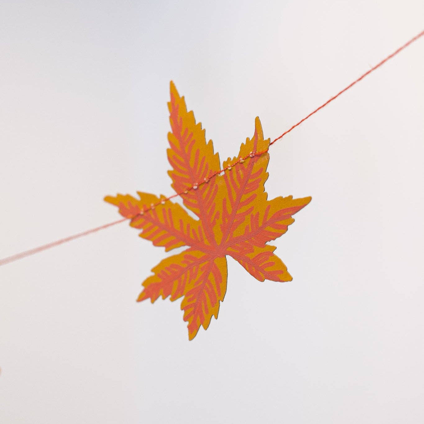 An orange and yellow autumn maple leaf hanging from a thin string against a pale gray background.