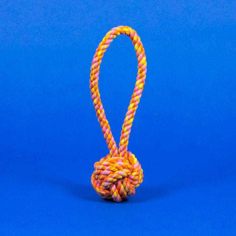 Colorful rope knot toy on a blue background