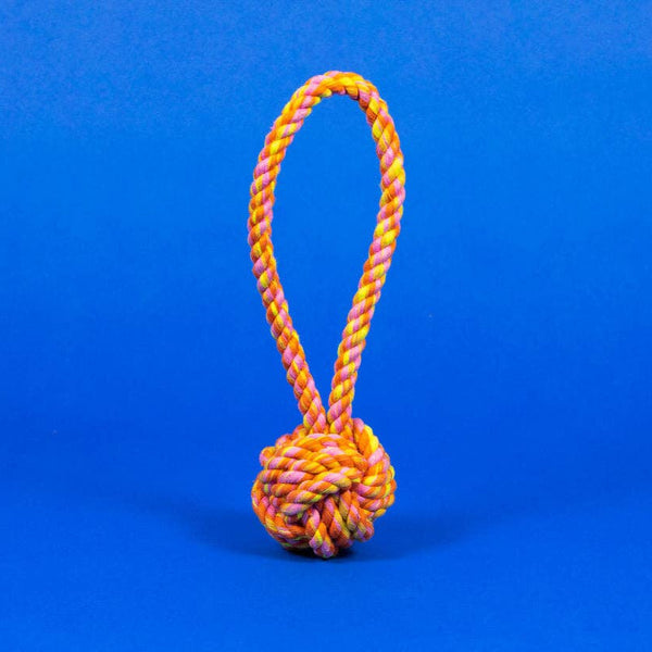 Colorful rope knot toy on a blue background