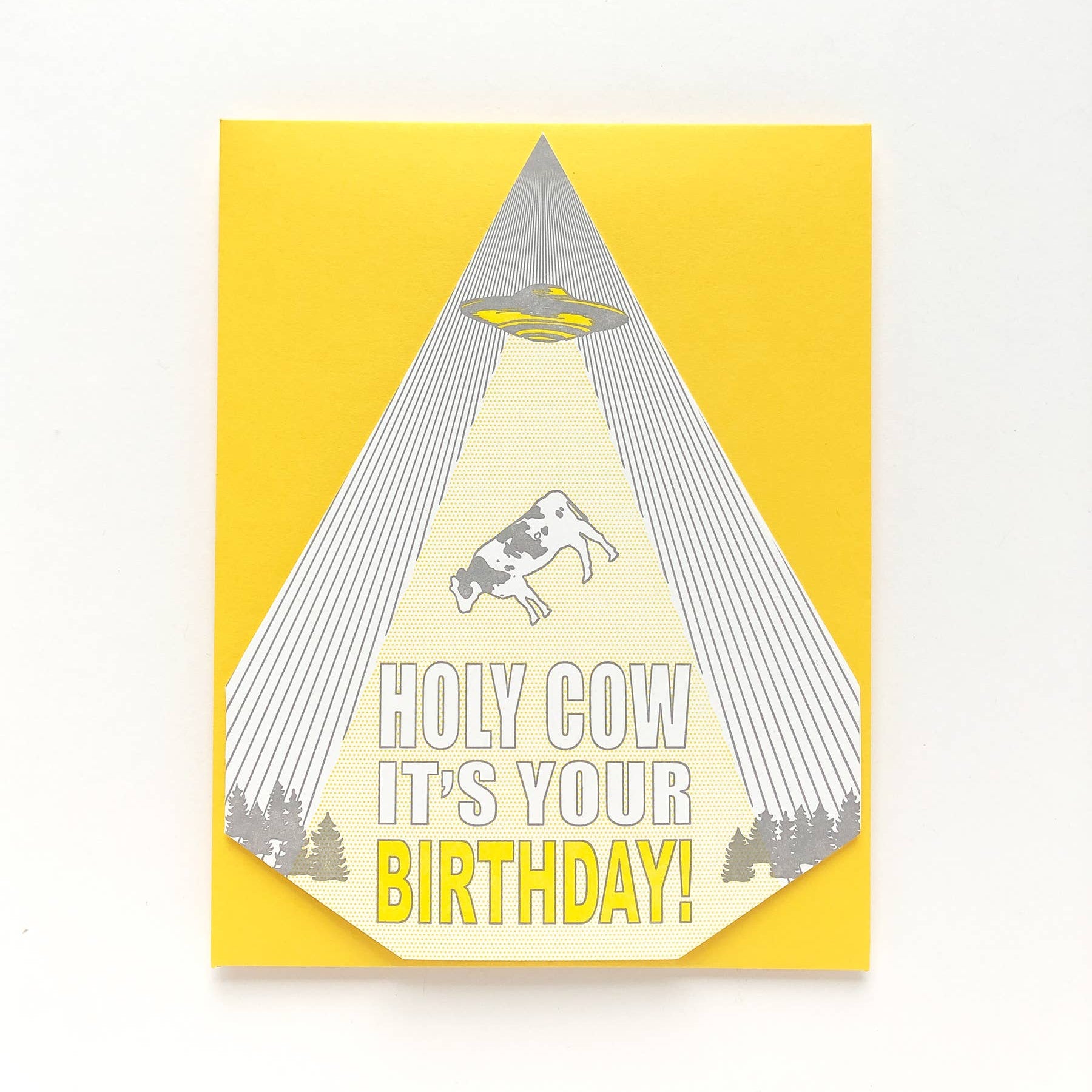 Holy Cow Greeting Card