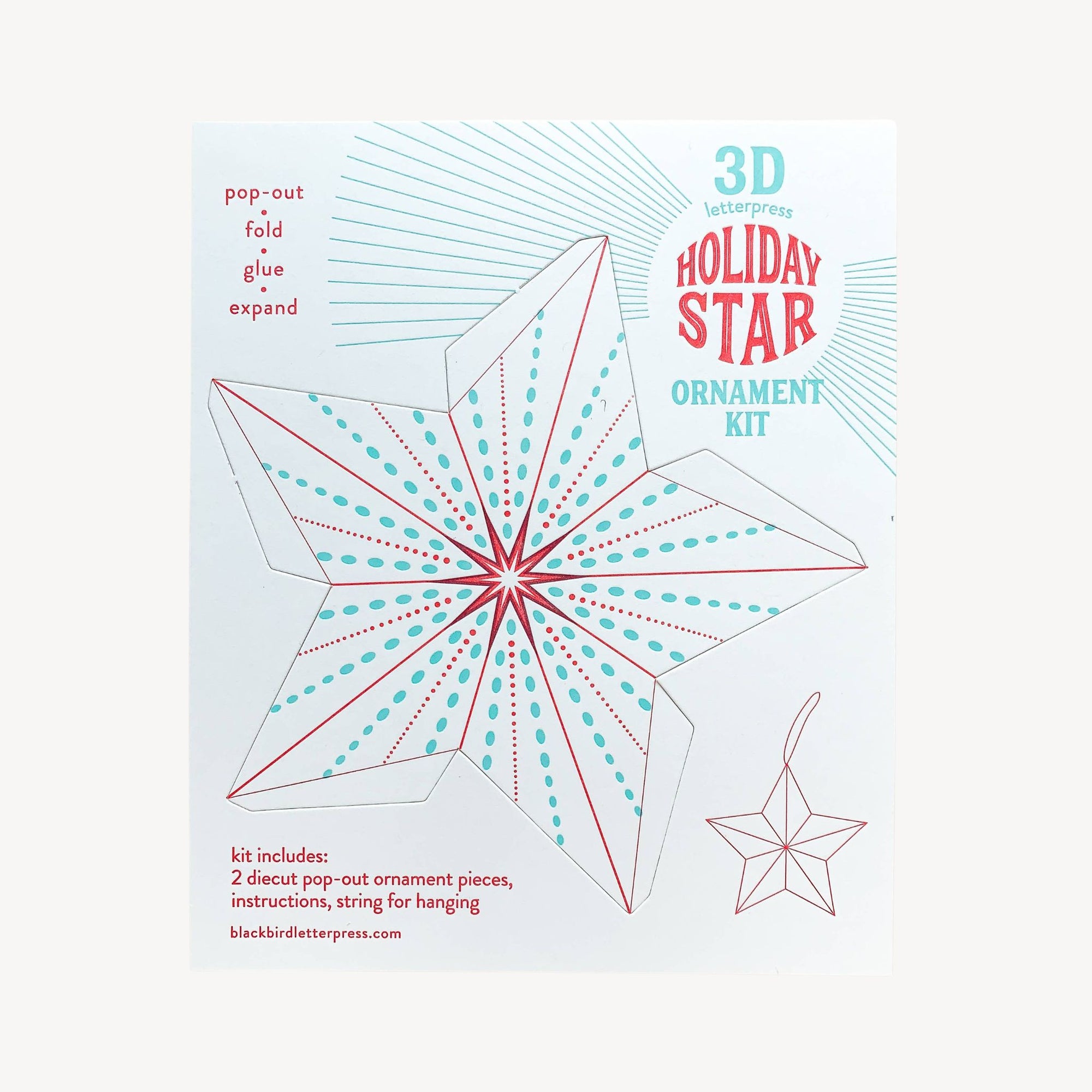 Holiday Star Ornament Kit