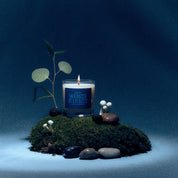 A lit glass jar candle labeled 'Moonshine in a Forest' sits on a mossy base with small white mushrooms, dark berries, smooth stones, and a eucalyptus stem against a dark blue studio background.