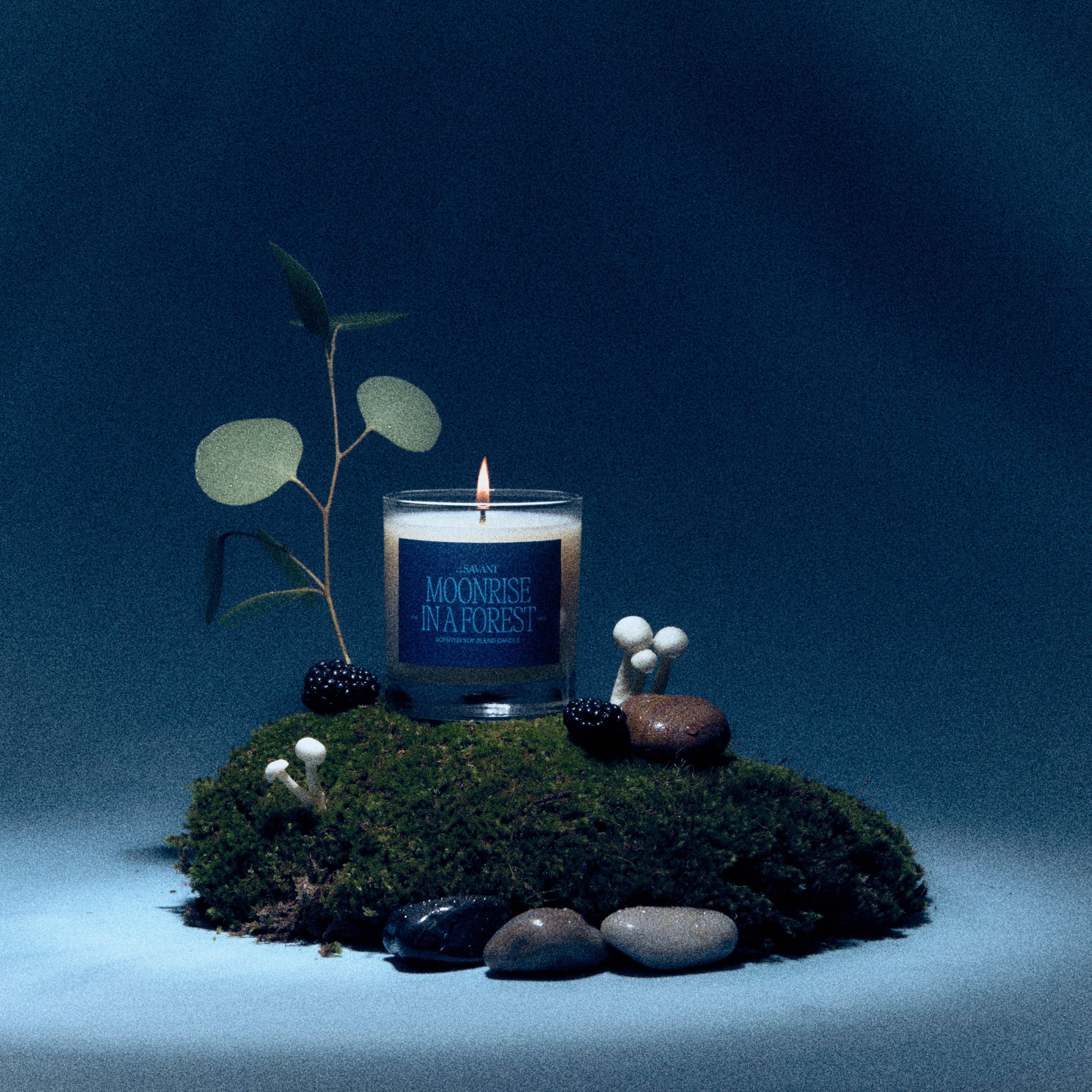 A lit glass jar candle labeled 'Moonshine in a Forest' sits on a mossy base with small white mushrooms, dark berries, smooth stones, and a eucalyptus stem against a dark blue studio background.