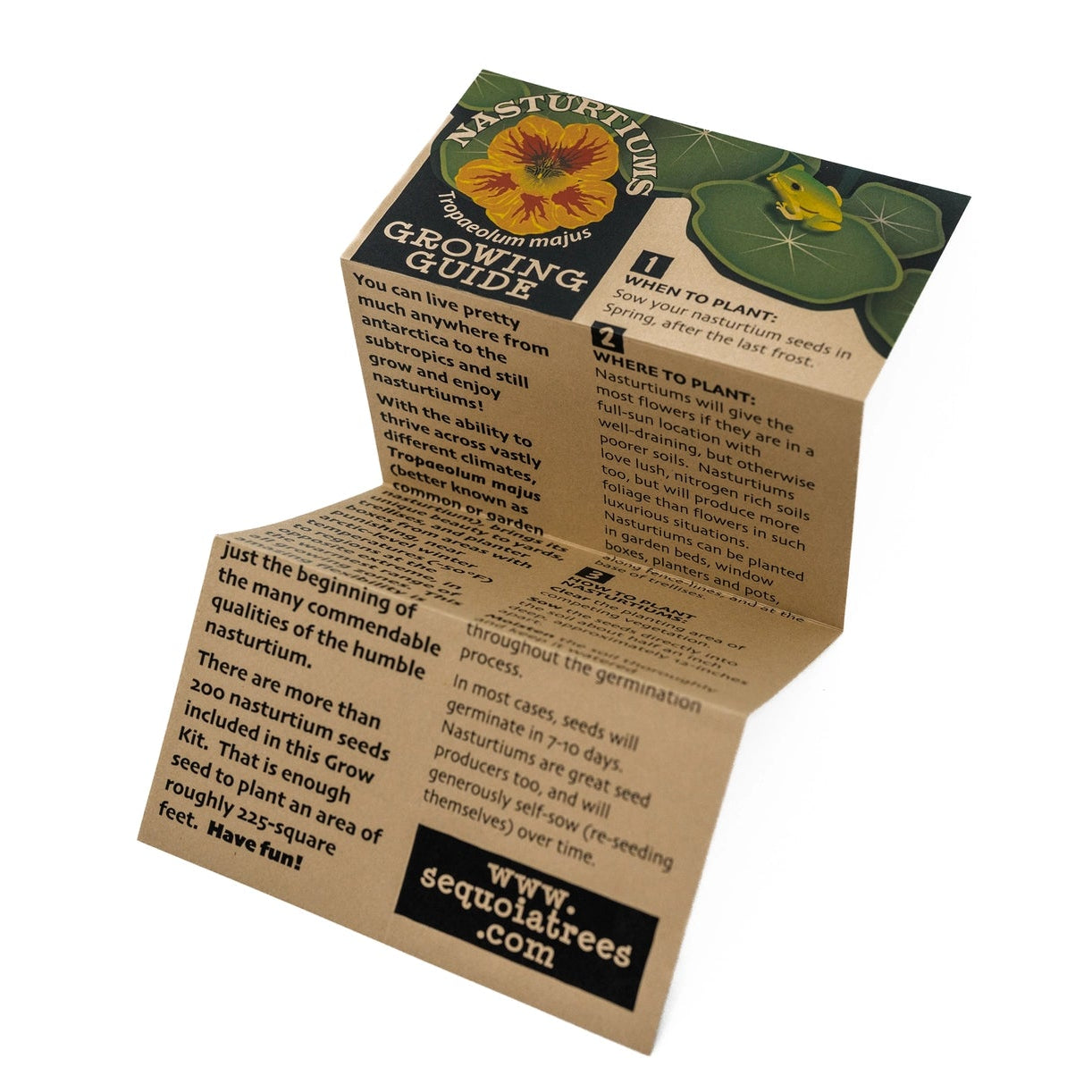 Nasturtium Flower Seed Grow Kit