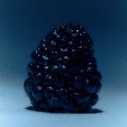 A single dark, glossy blackberry photographed against a blue gradient studio background.