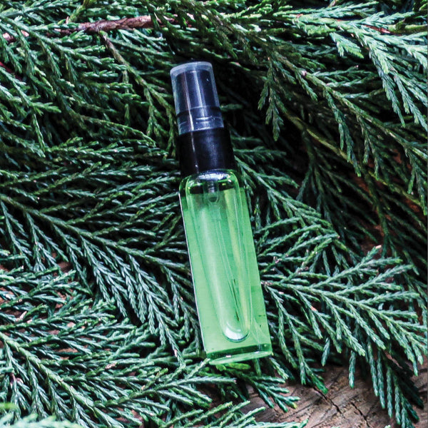 Winter Fir Travel Fragrance
