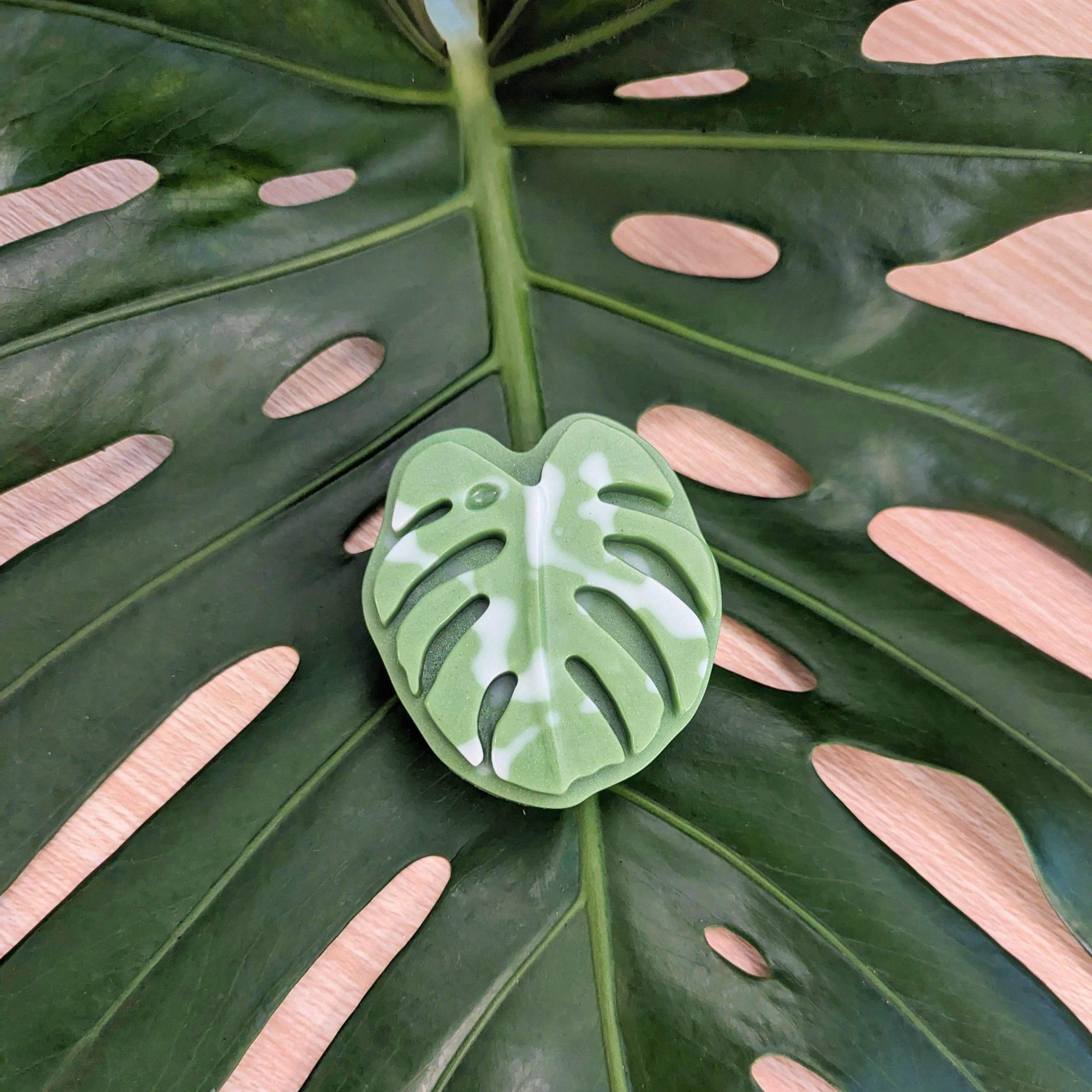 Monstera Leaf Soap - RIDER