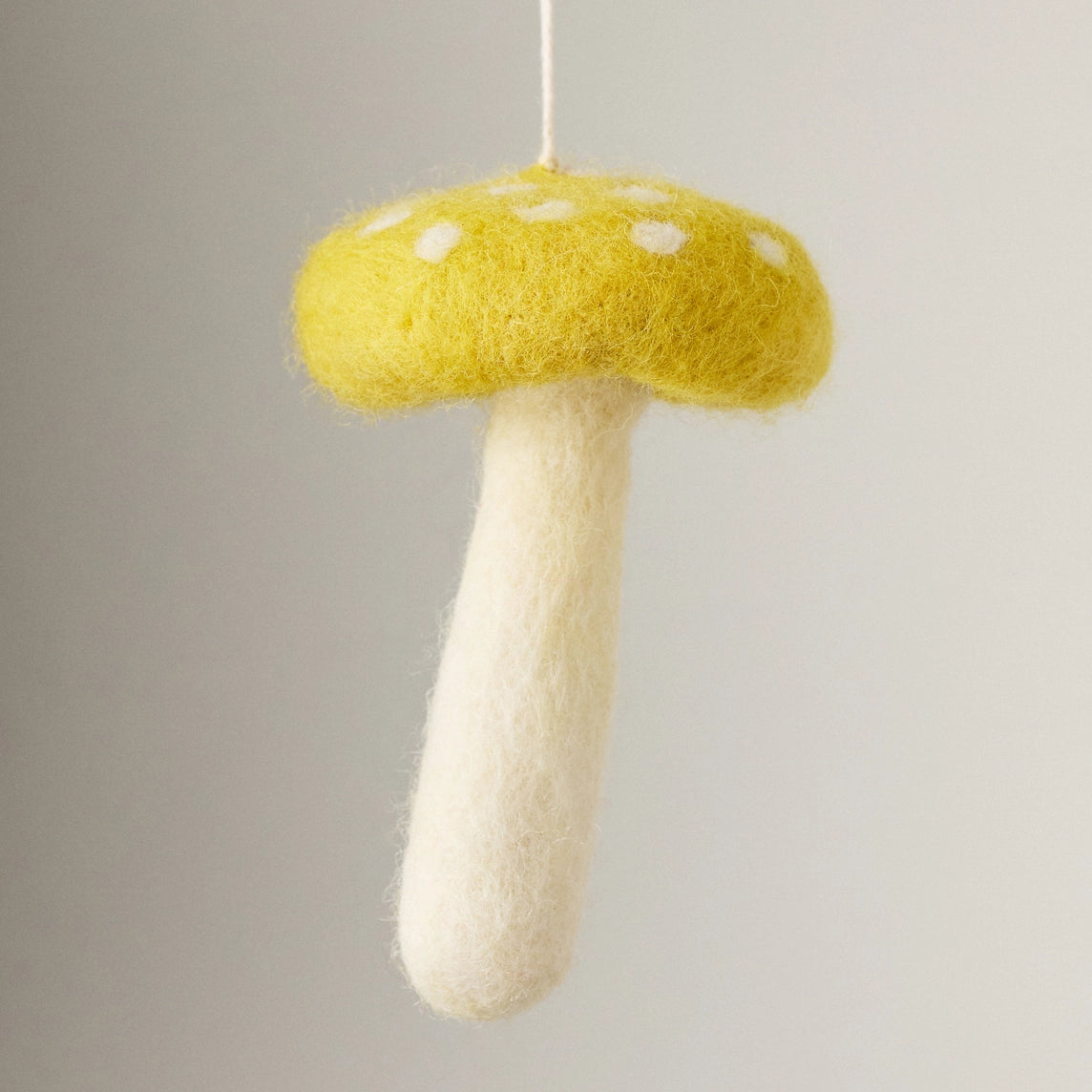Mushrooms Ornament Set