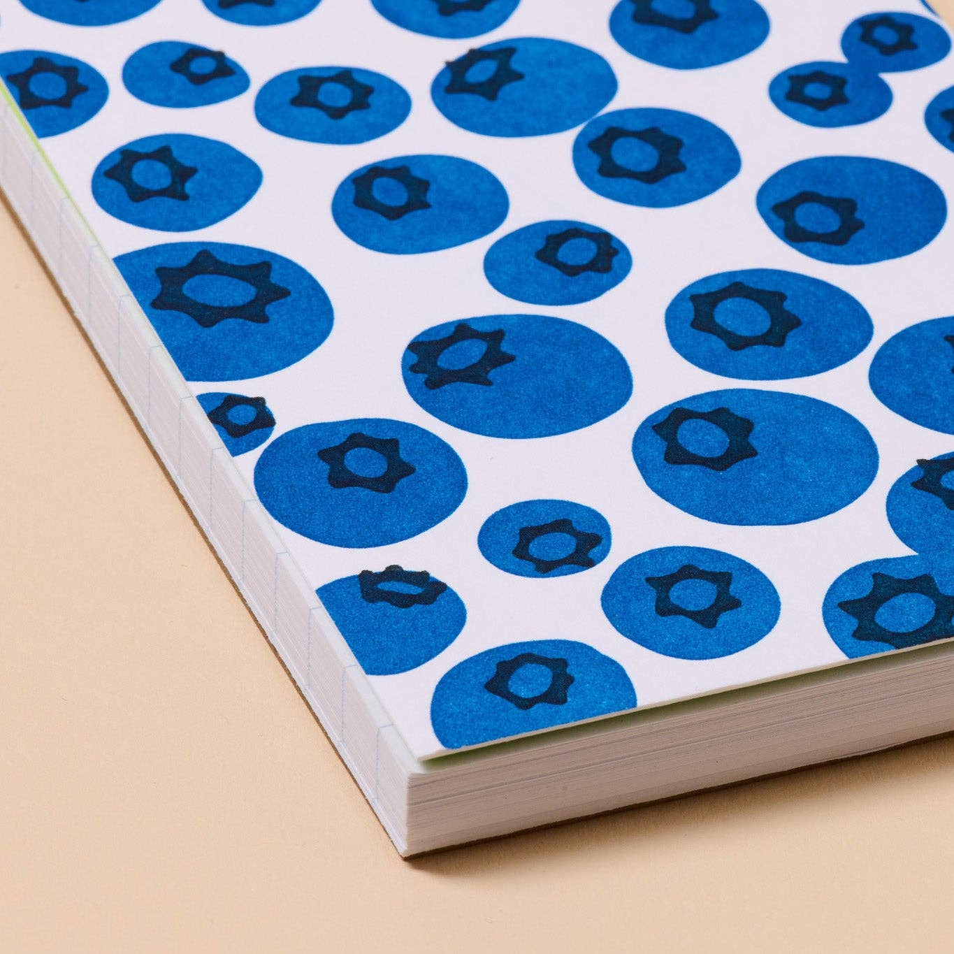 Close up of pocket notebook with blueberry pattern on a beige background