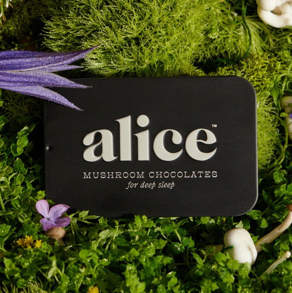 Nightcap Mushroom Chocolate