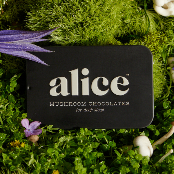 Nightcap Mushroom Chocolate