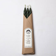 Set of four Pine Beeswax Spiral Taper Candles by Cave Glow Studio, featuring natural beeswax with spiral design.