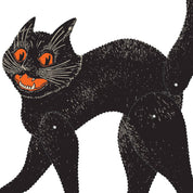 Black cat with orange eyes and mouth on a white background