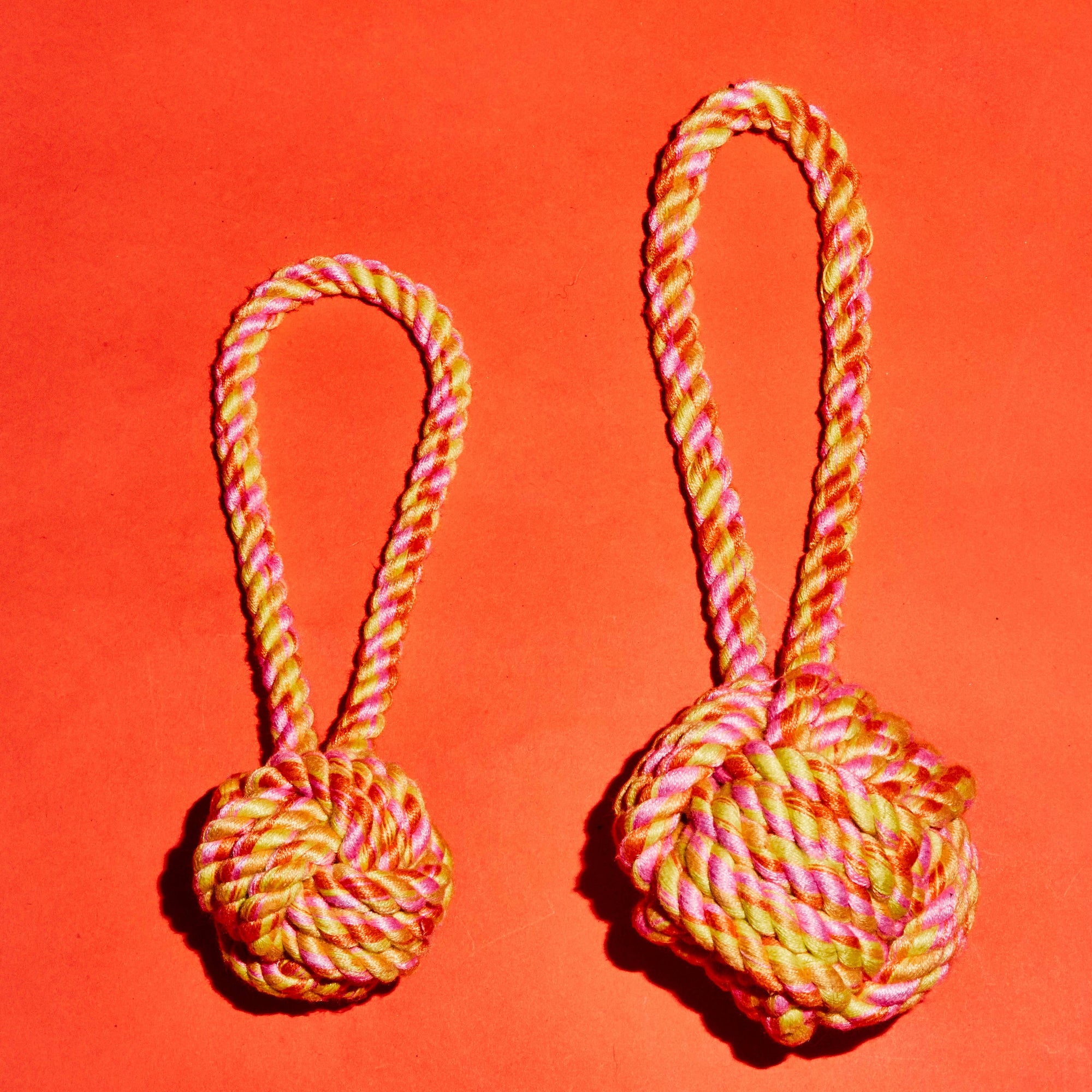 Neon Rope Knot Dog Toy