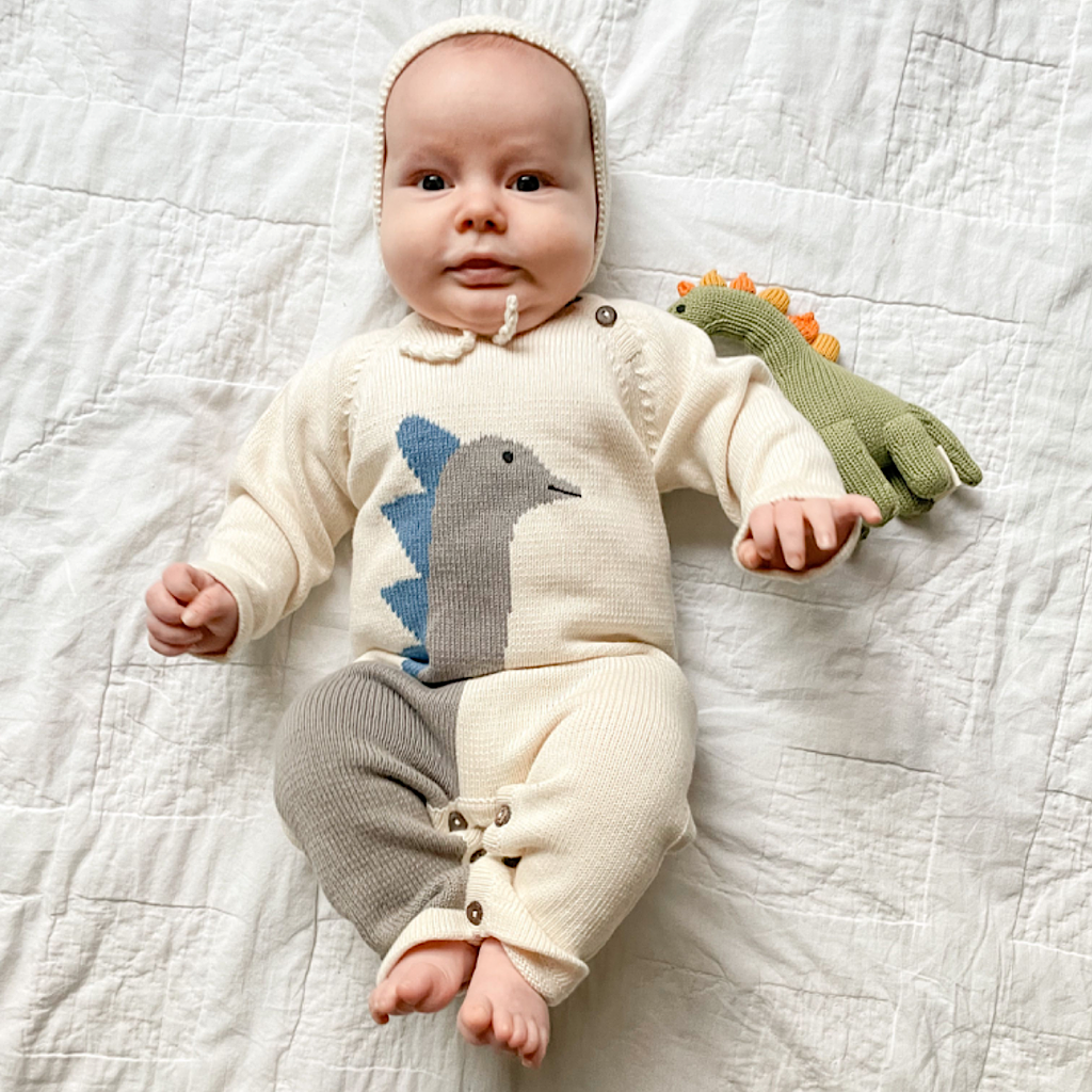 Dinosaur Baby Rattle - RIDER