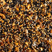 Close-up of a mixture of seeds and grains