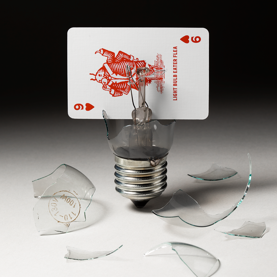 Flea Circus Playing Cards