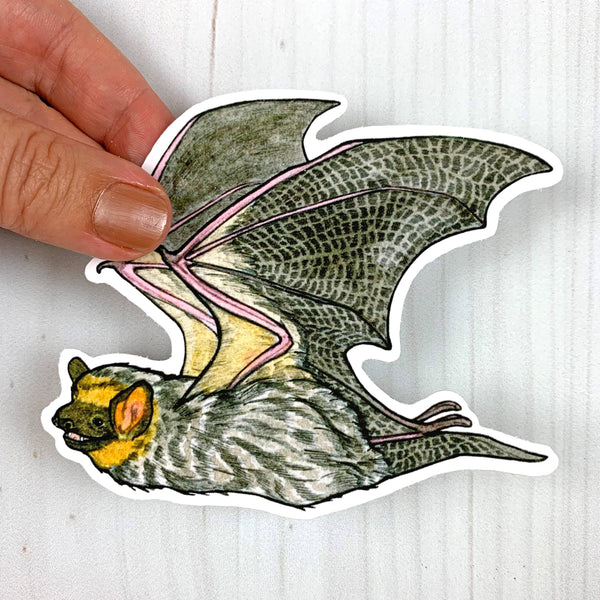 Hoary Bat Vinyl Sticker