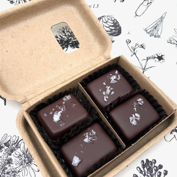 4 Piece Dark Chocolate Salted Caramels - RIDER