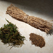 Herbs lying against a neutral background.