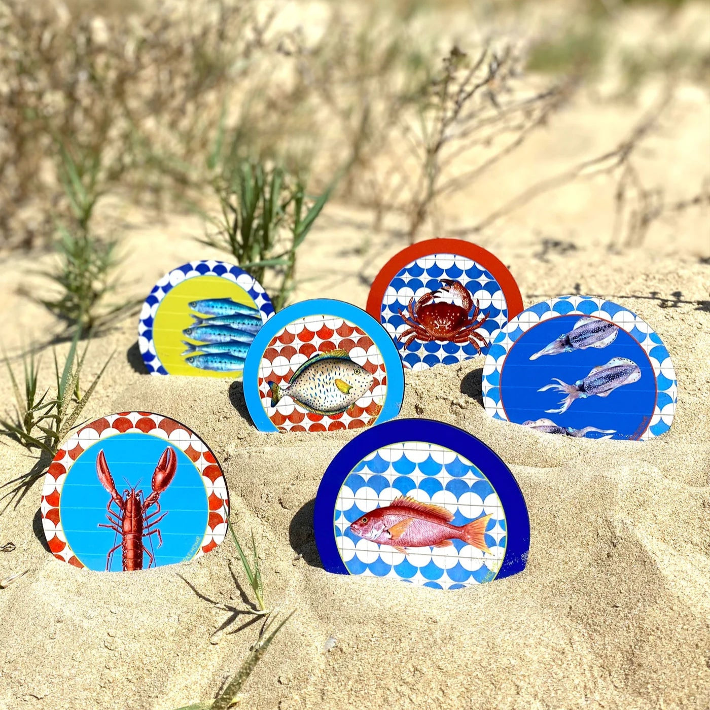 Sea Coaster Set