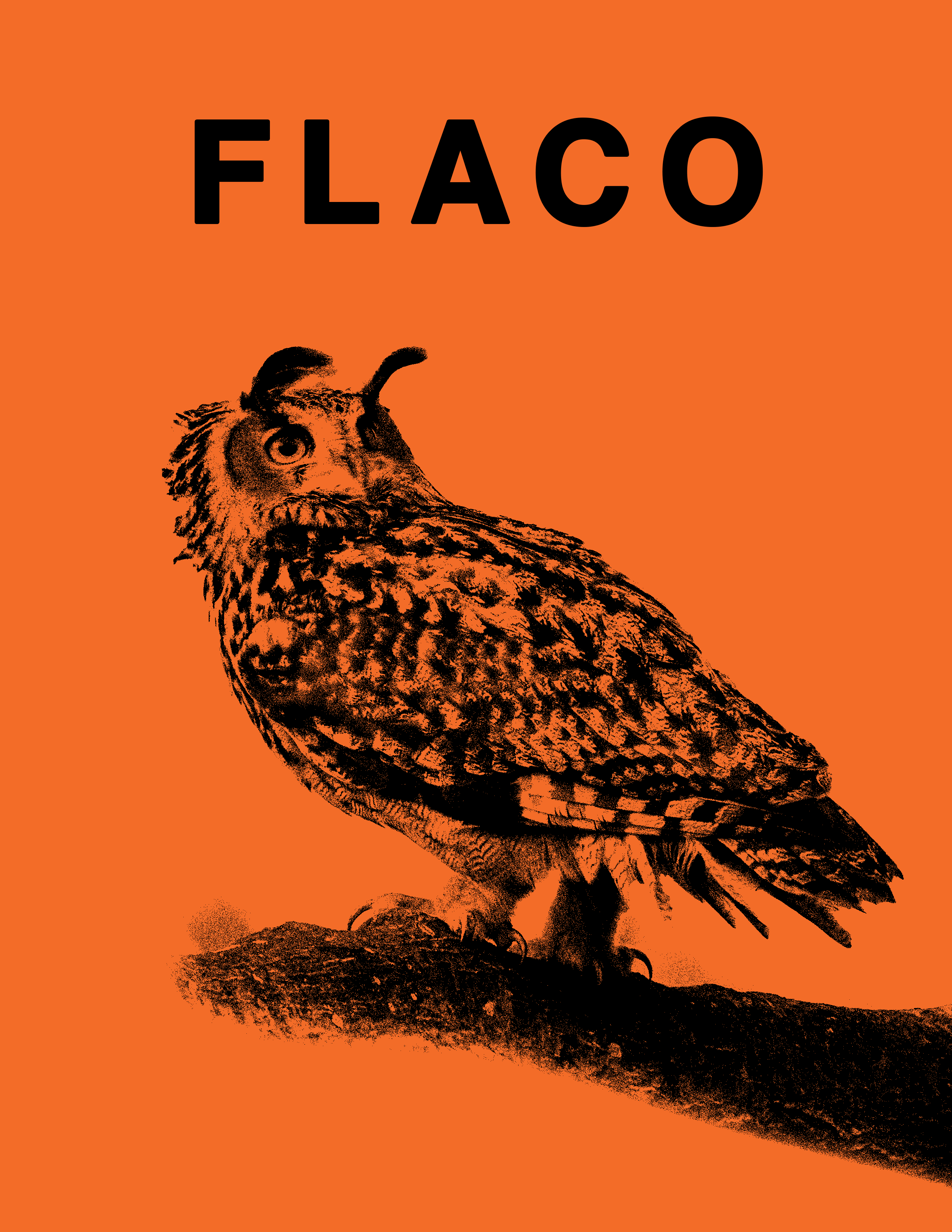 Flaco Tote Bag by Burring Books featuring a colorful book cover design and sturdy handles for easy carrying.