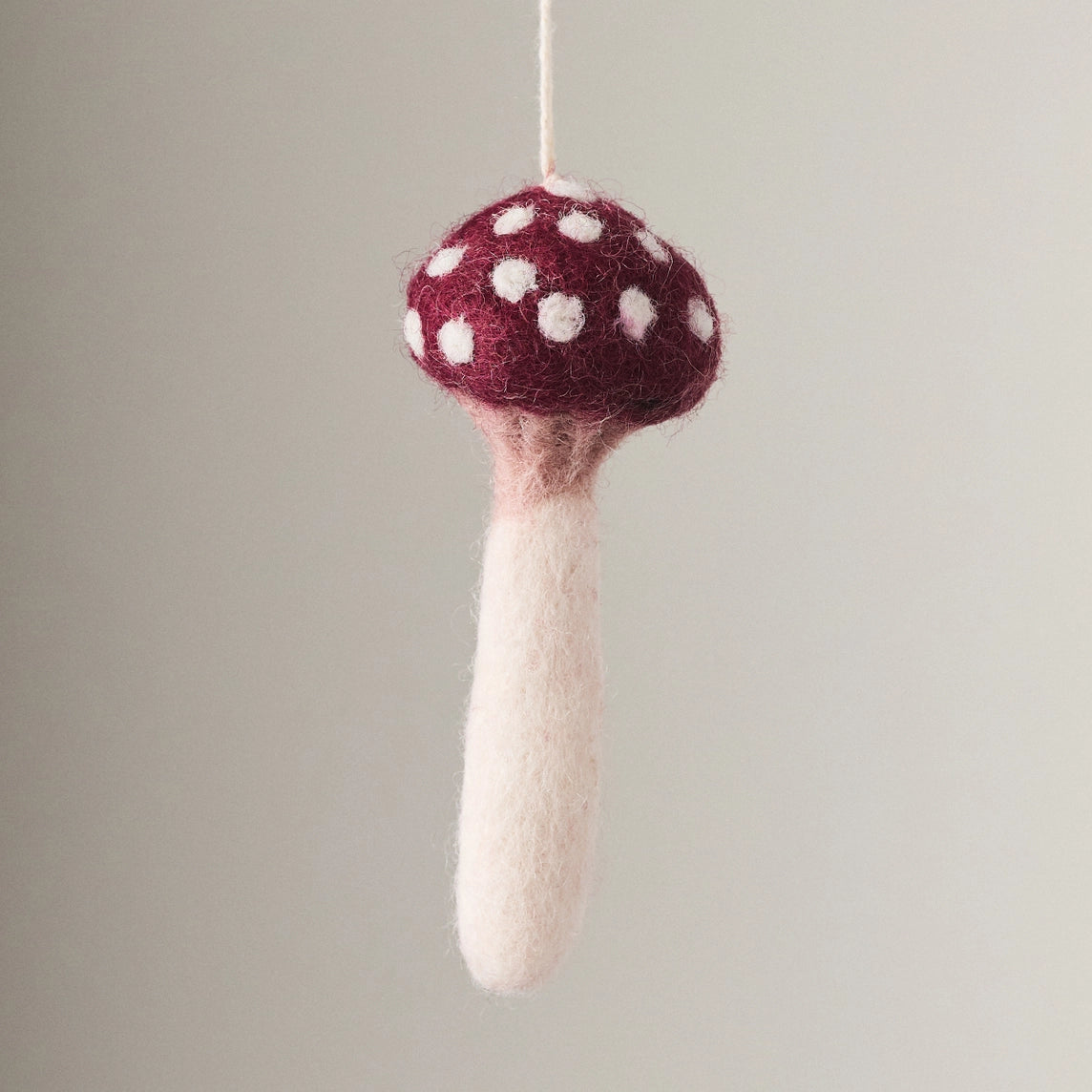 Mushrooms Ornament Set