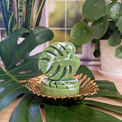 Monstera Leaf Soap - RIDER