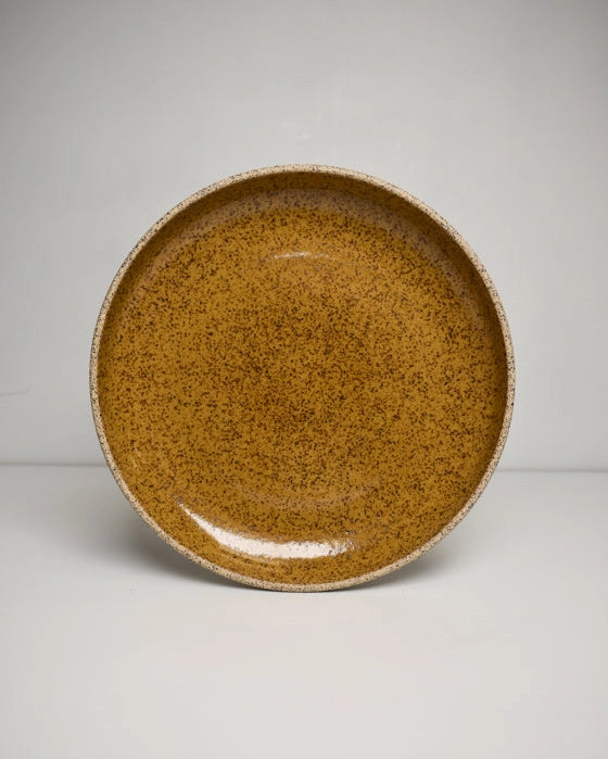 Brown ceramic plate with speckled texture on a white background
