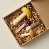 Mushrooms Ornament Set