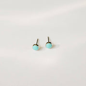 Pair of turquoise stud earrings on a white background