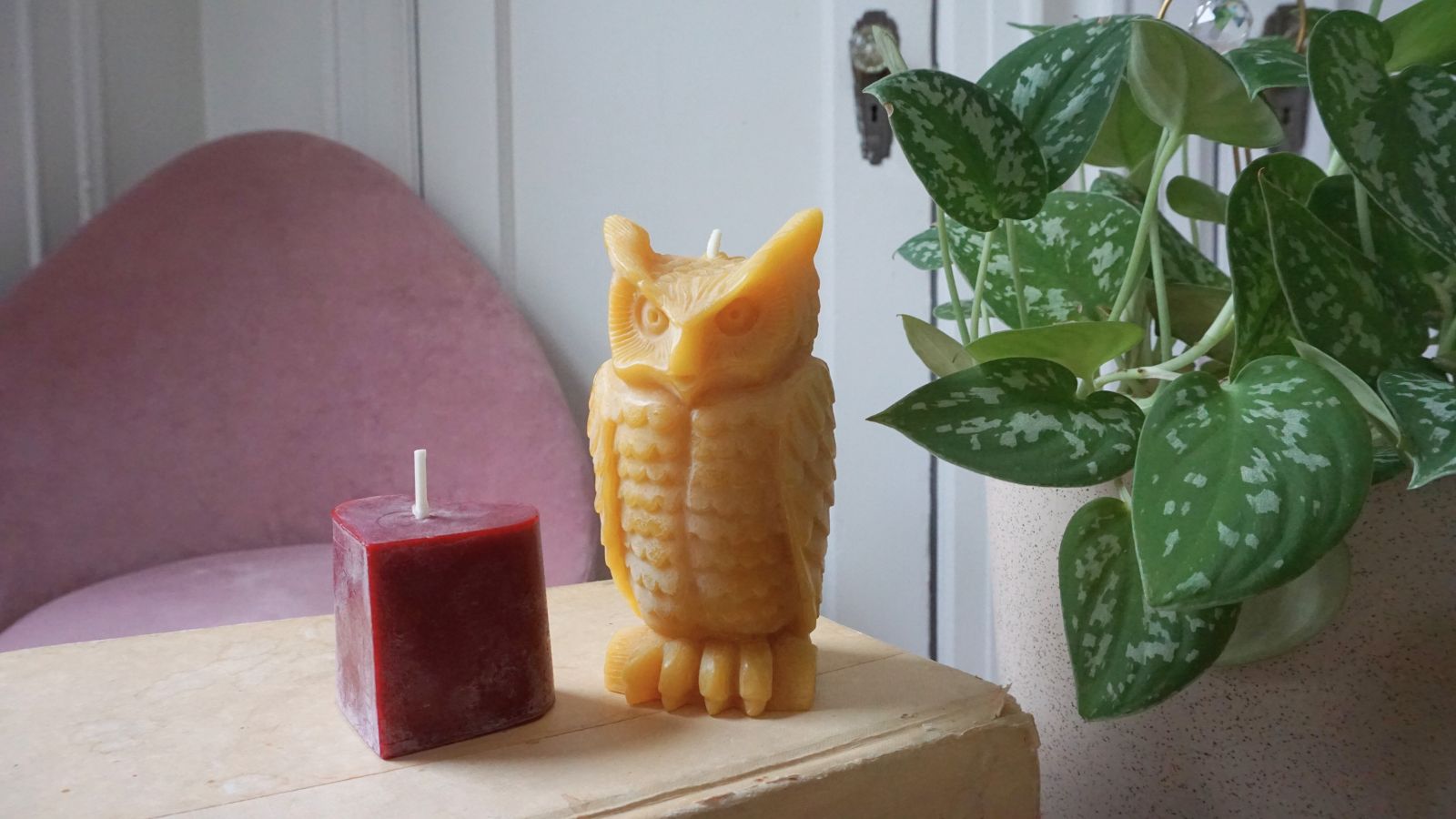 collection_home.jpg