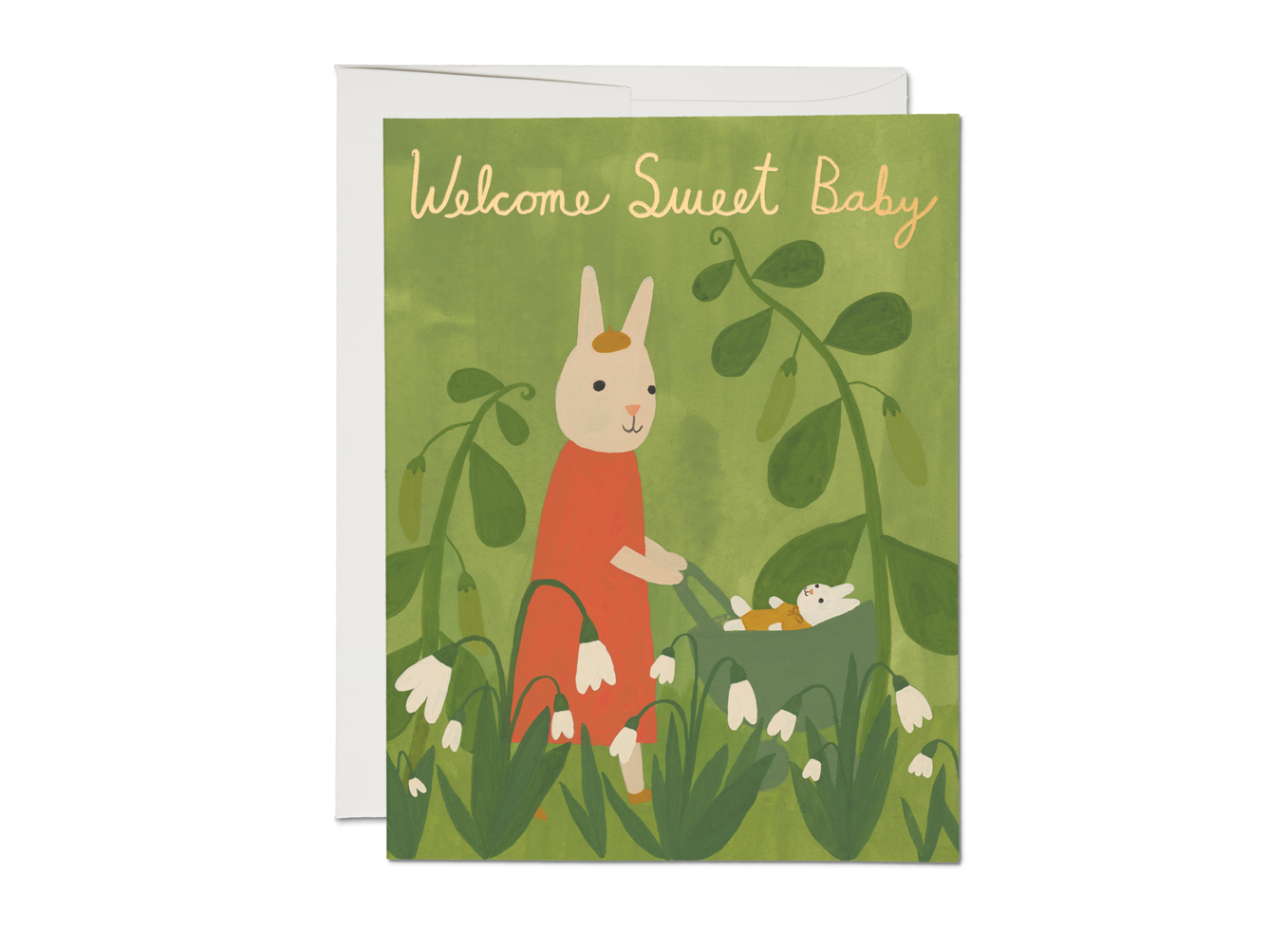 Baby Bunny Greeting Card