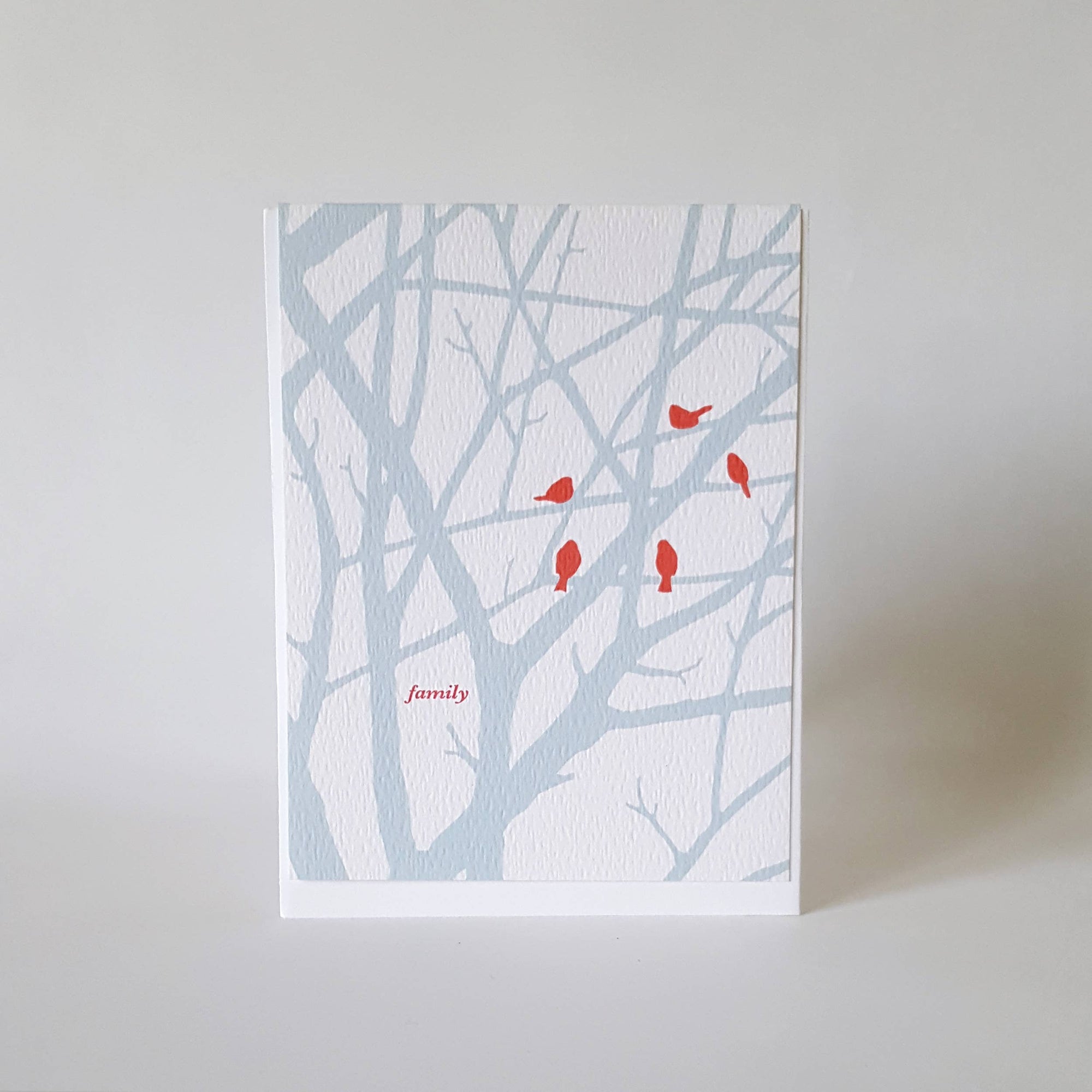 Family Birds Holiday Greeting Card