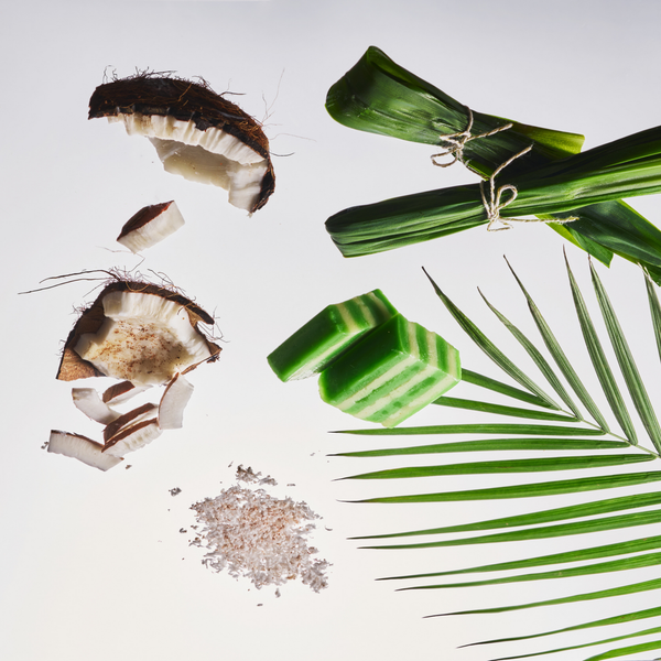 Coconut pieces, green leaves, and palm leaf on a white background