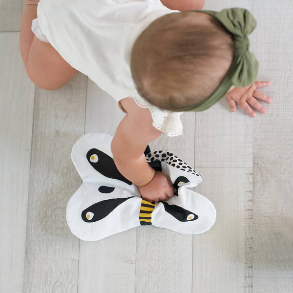 Butterfly Crinkle Toy