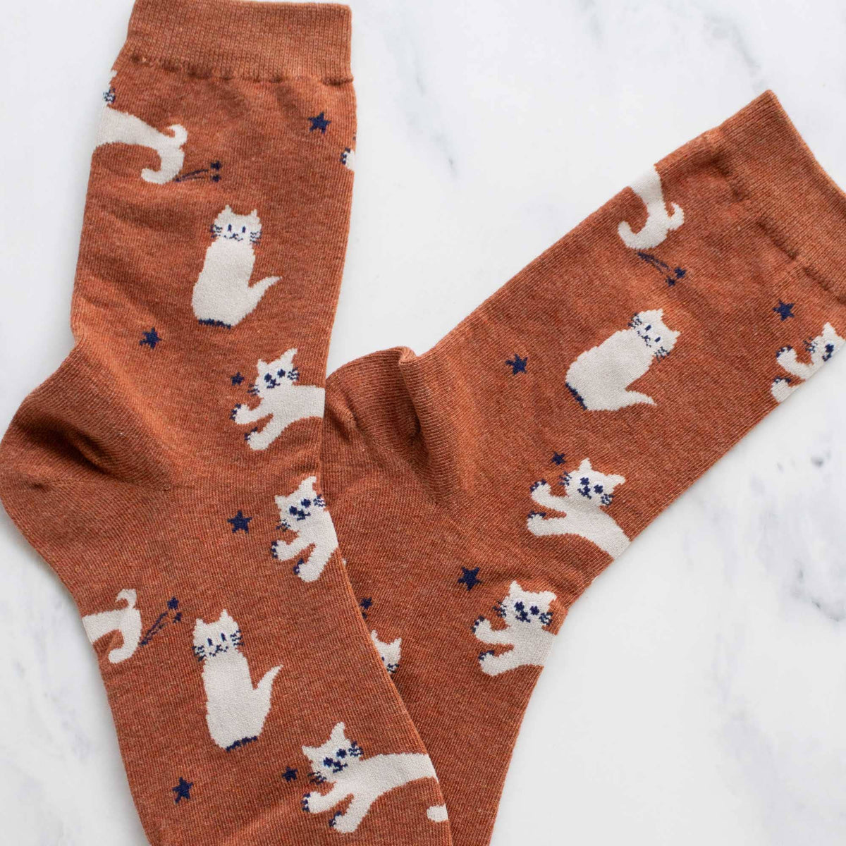 Pair of brown socks with cat pattern on a white background