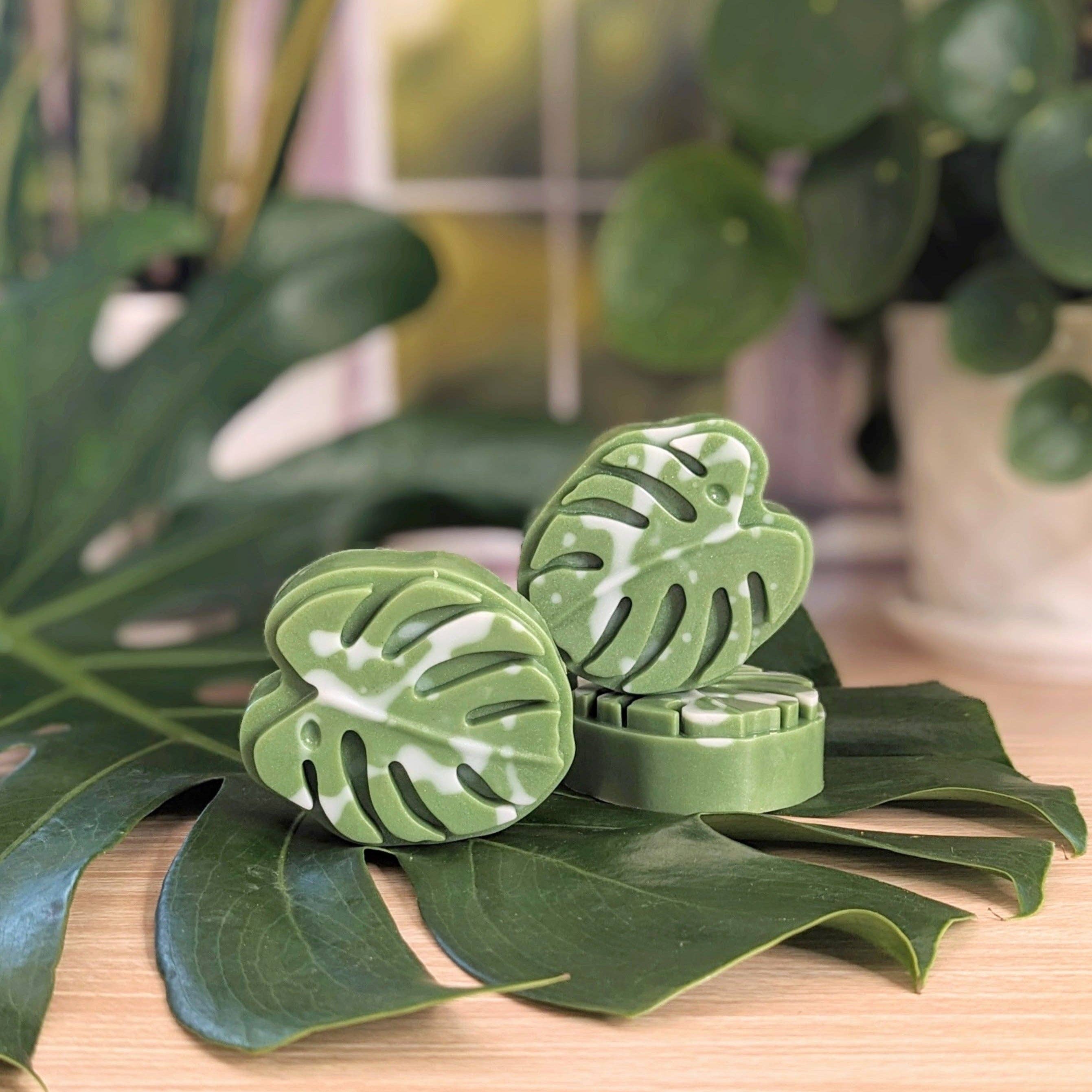 Monstera Leaf Soap - RIDER