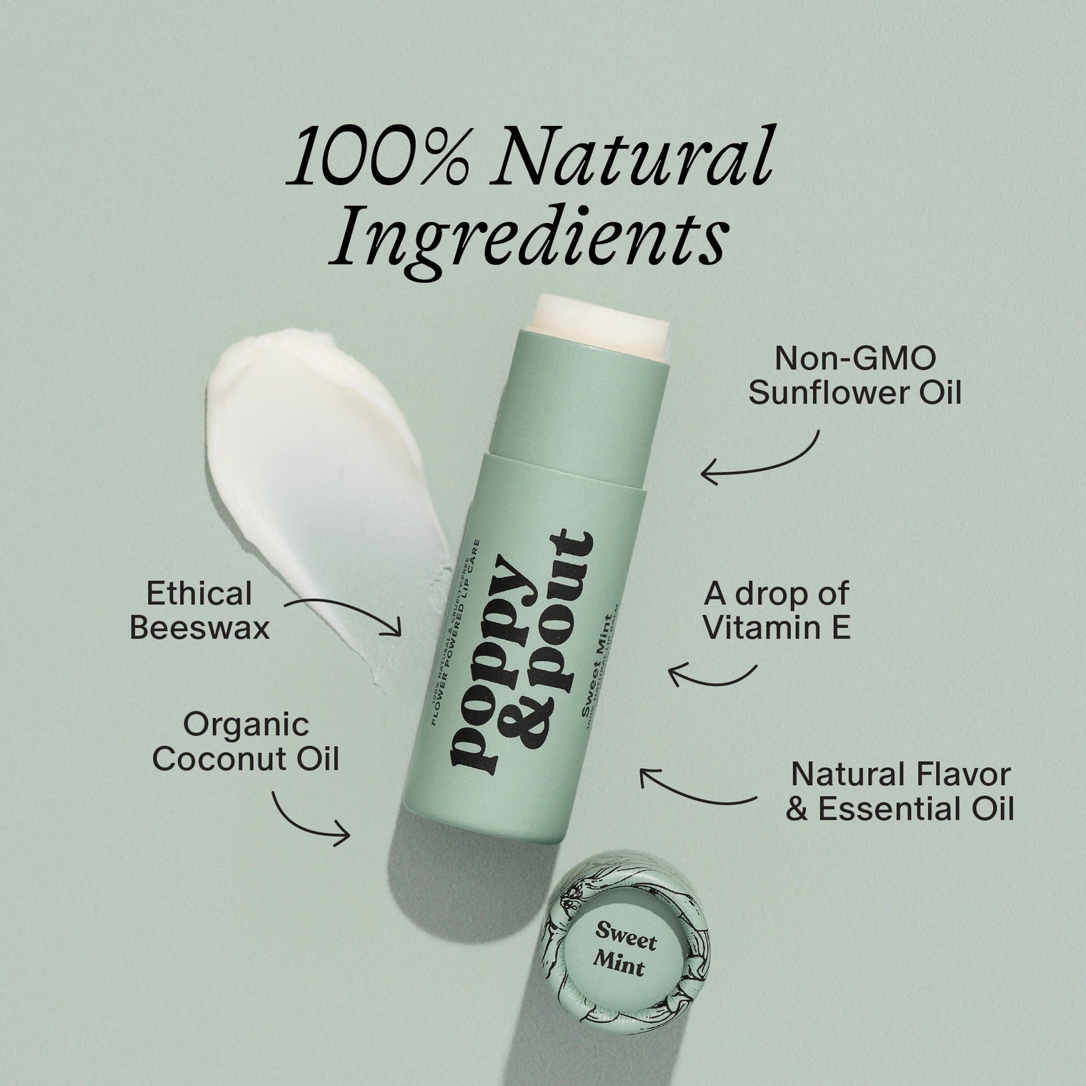 Sweet Mint Lip Balm