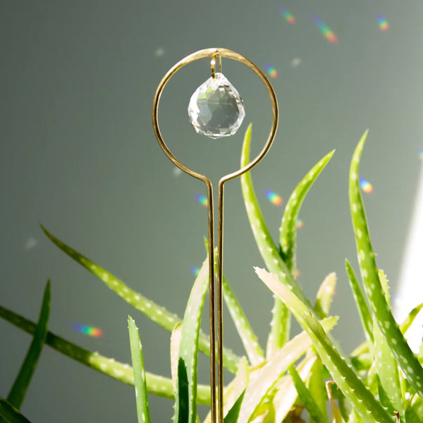 Prisma Plant Stake