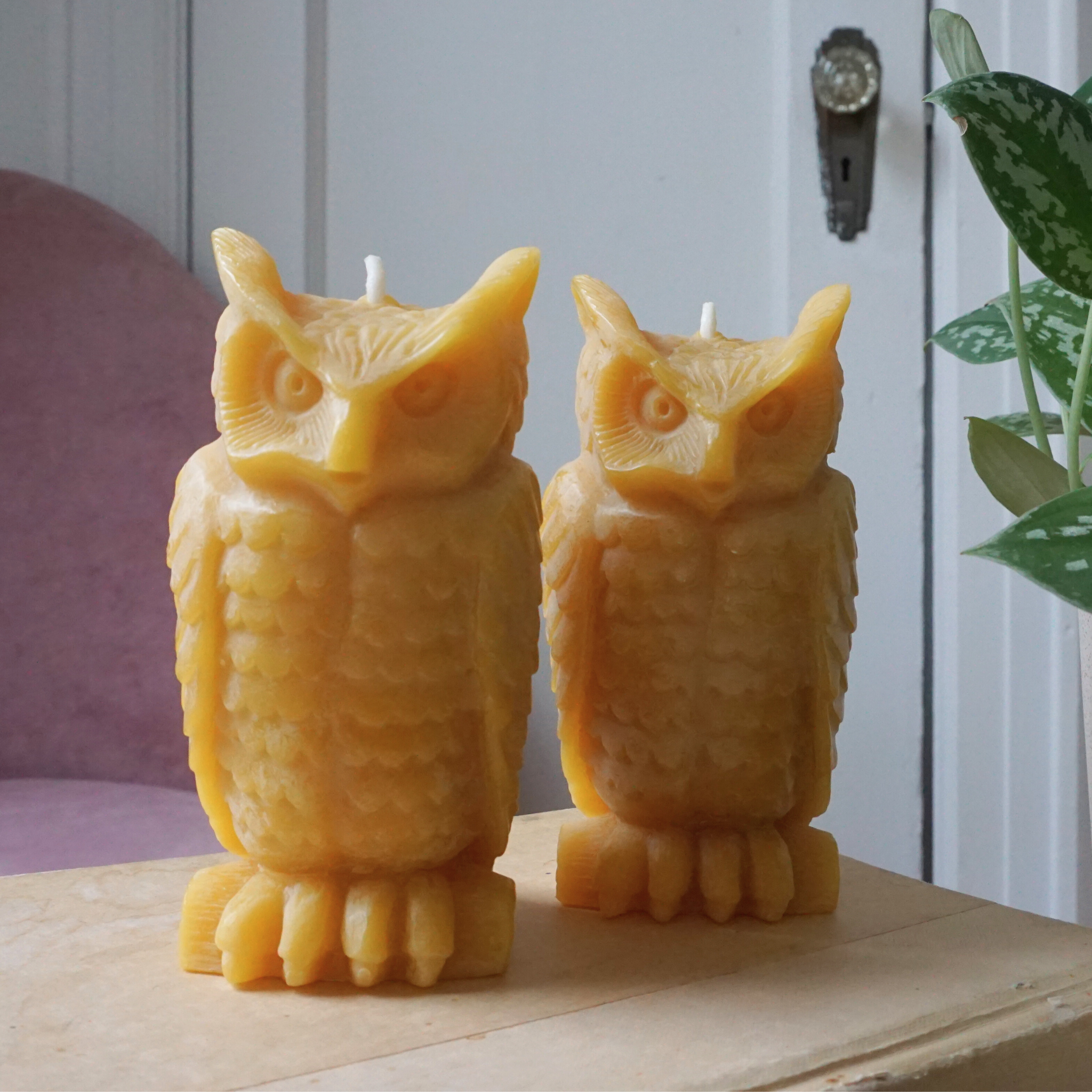 Beeswax Owl Candle - RIDER