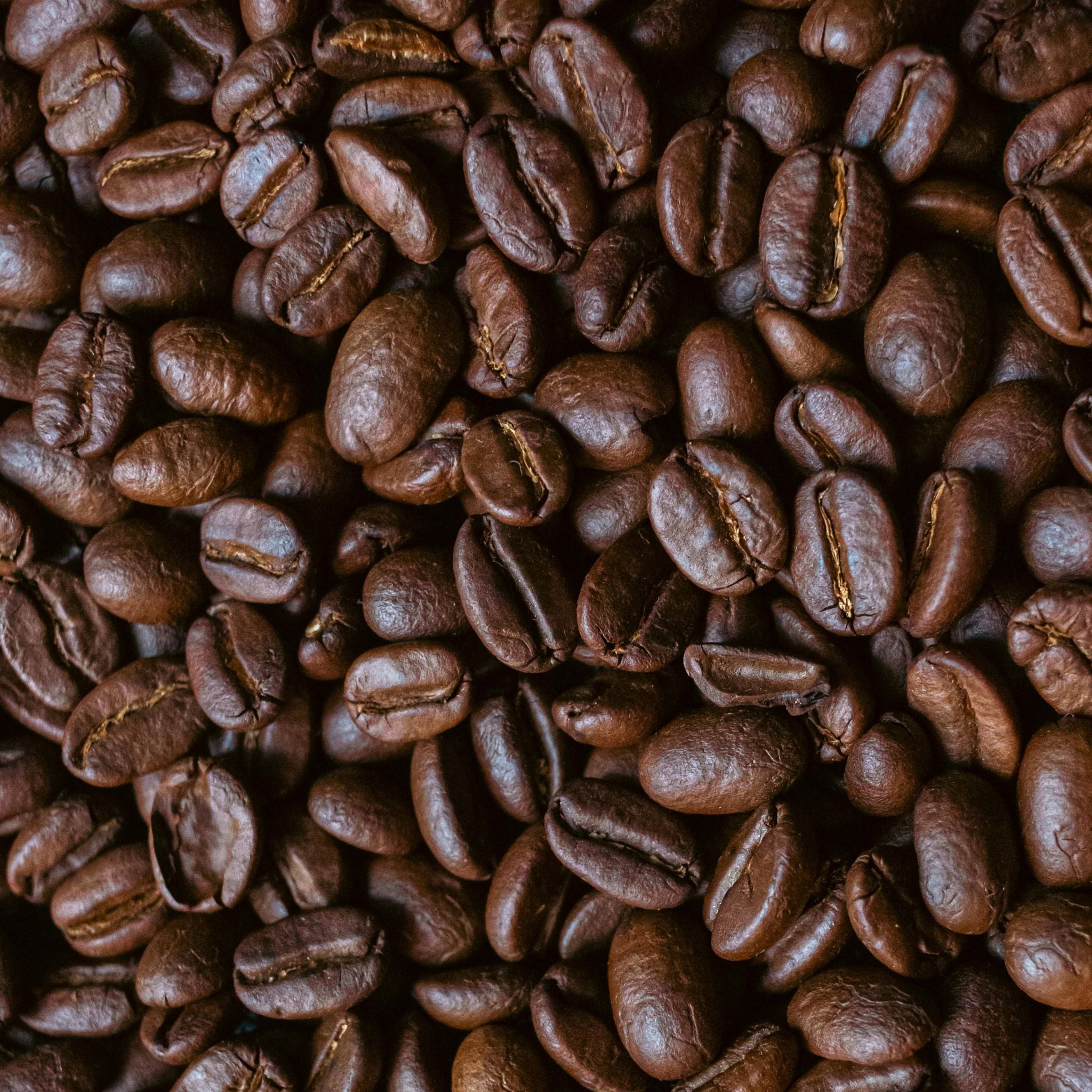 A close up of coffee beans.