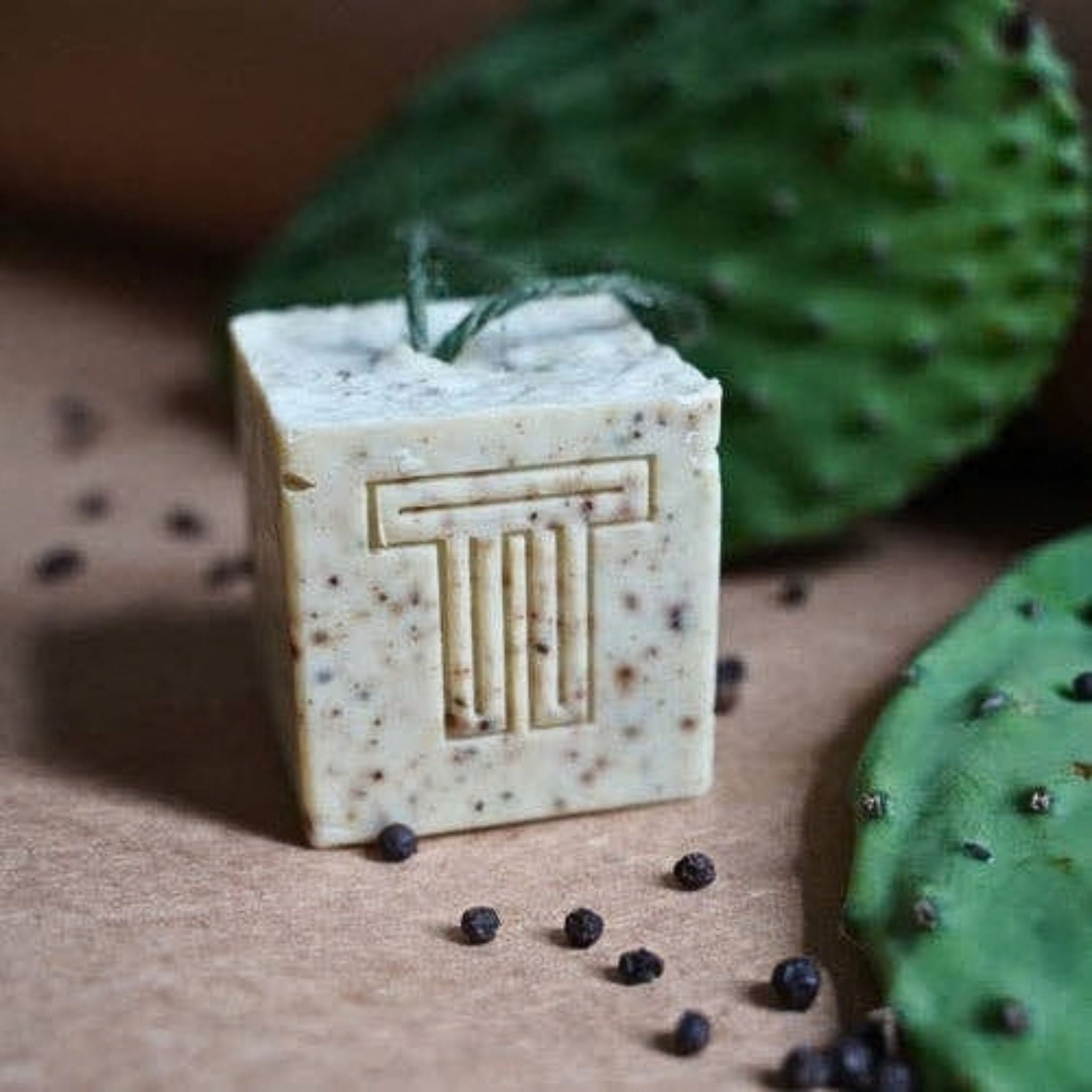 A square bar of Terra Tory soap on a natural background with a cactus and black peppercorns.