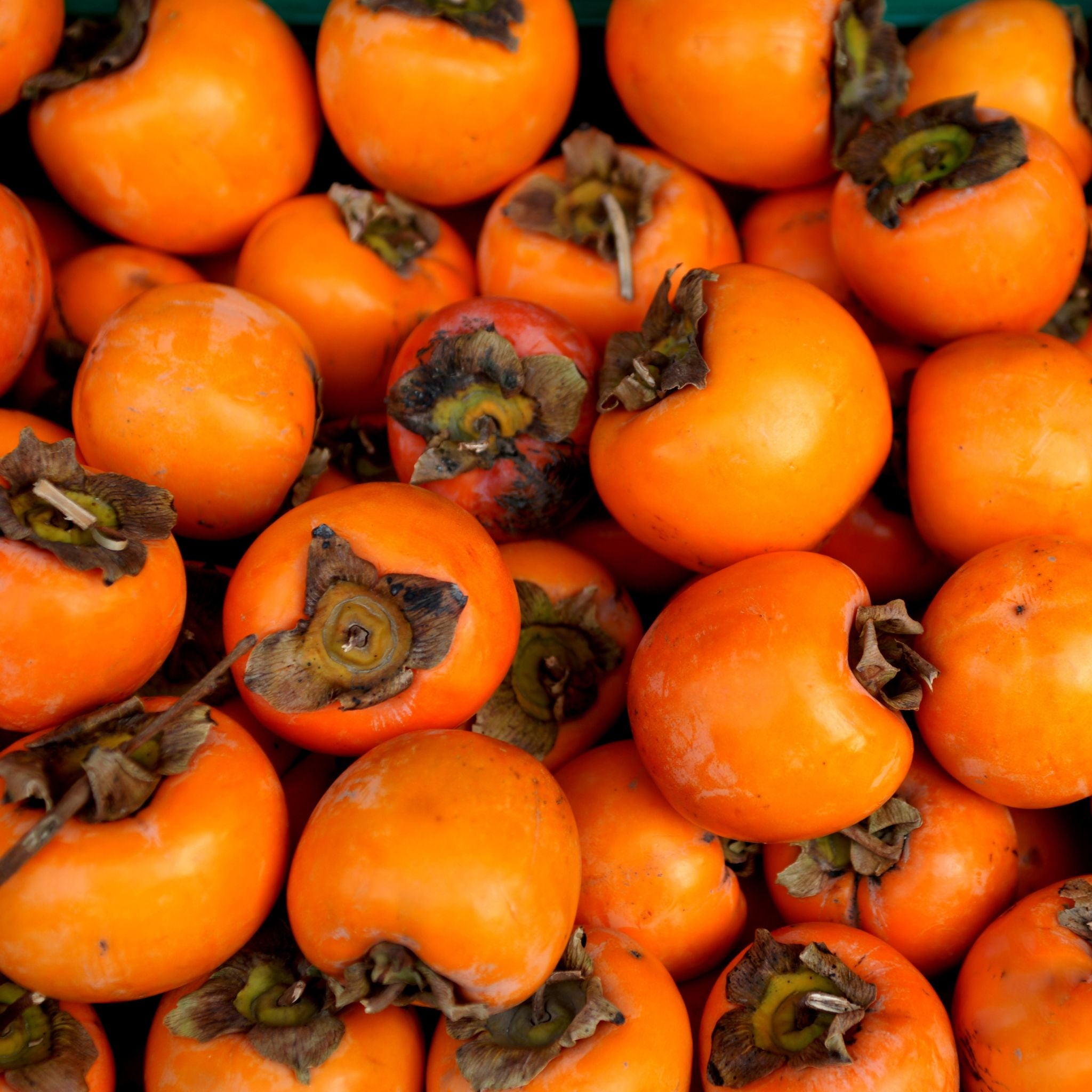 A stack of persimmons.