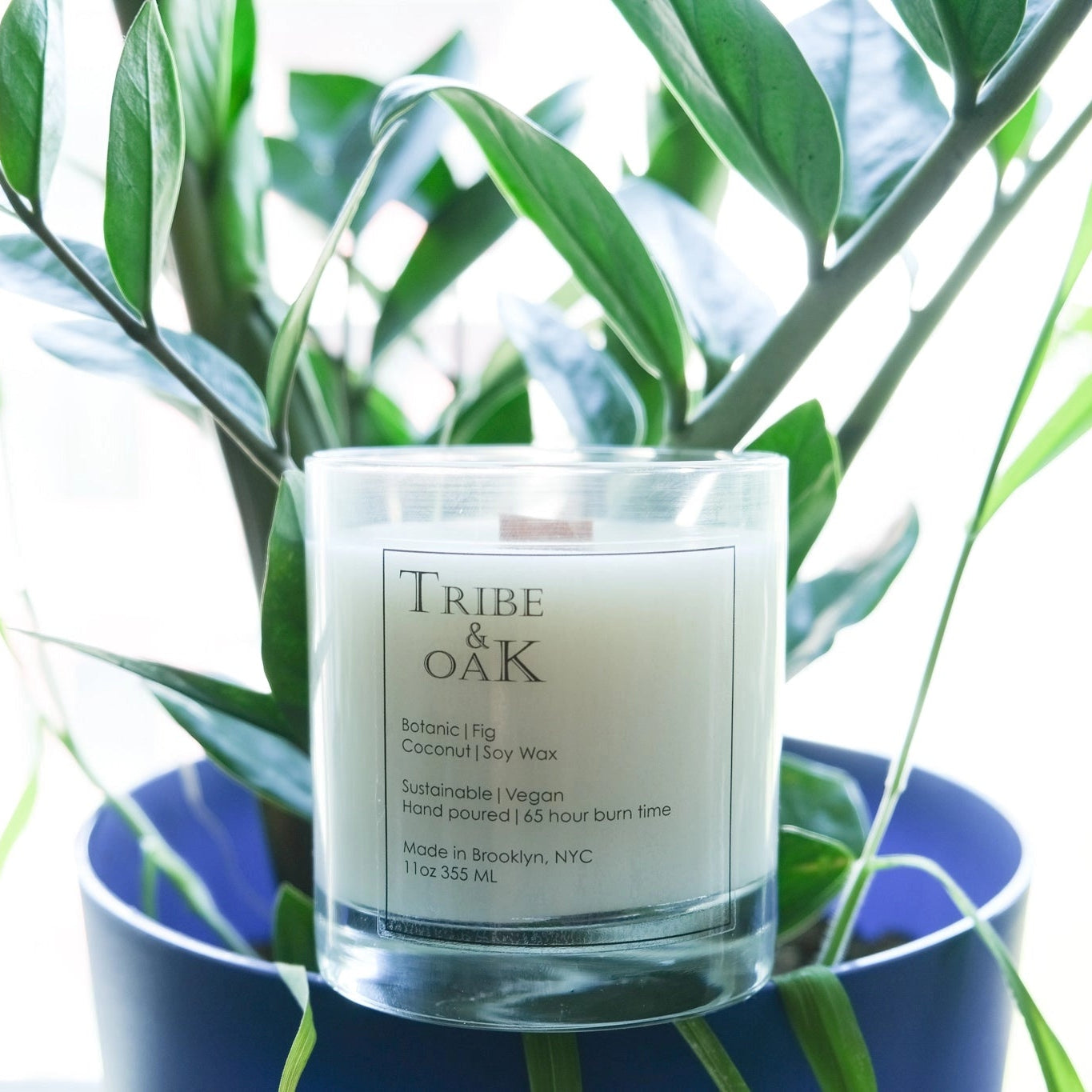 Candle labeled 'Tribe of Oak' in a blue container with green leaves in the background
