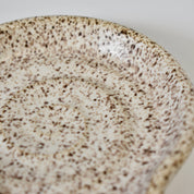 Speckled ceramic plate on a light background
