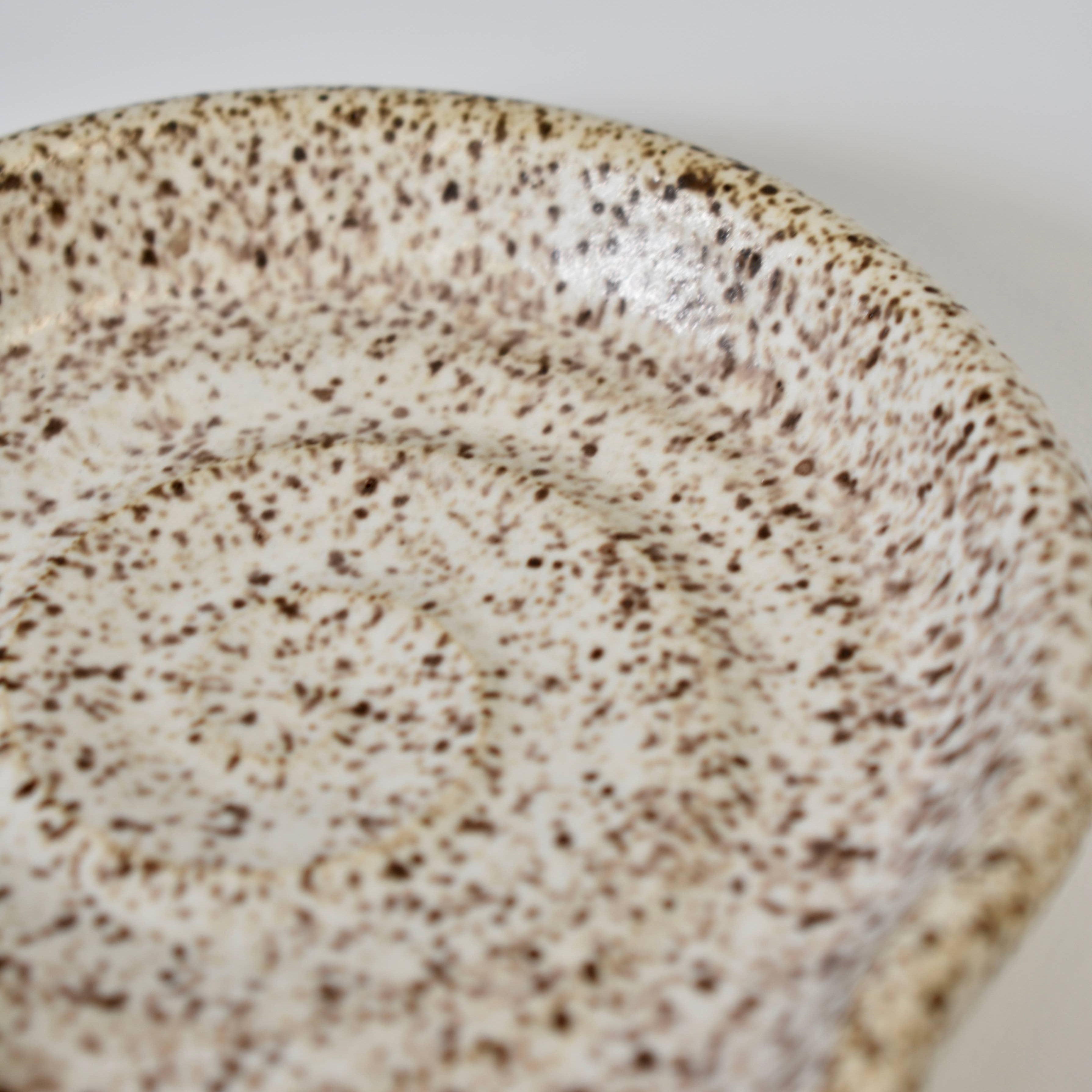 Speckled ceramic plate on a light background
